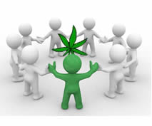 cannabis culture