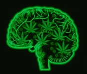 psychological effects of marijuana psychological effects of marijuana