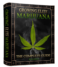 How To Grow Medical Marijuana