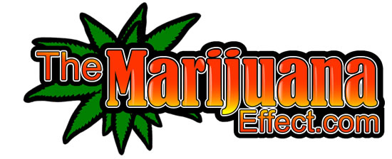The Marijuana Effect