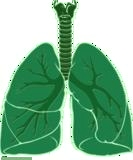 marijuana health risks