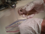 cleaning a glass pipe cleaning a glass pipe