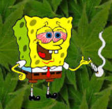 stonedbob marijuana cartoons