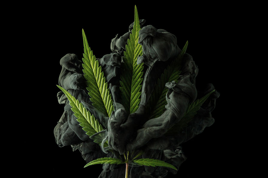 cannabis-artwork