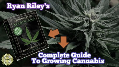 ryan-riley-growing-cannabis-guide-review