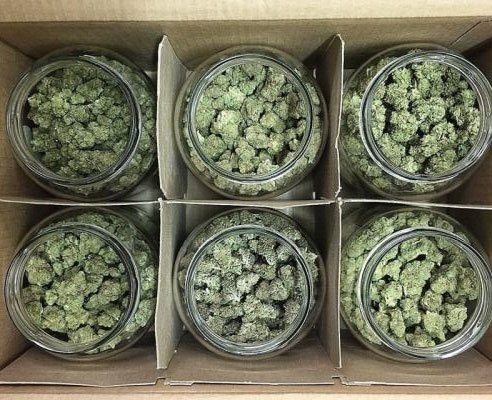 How to store weed. Learn the best way to store weed here. – The Marijuana  Effect